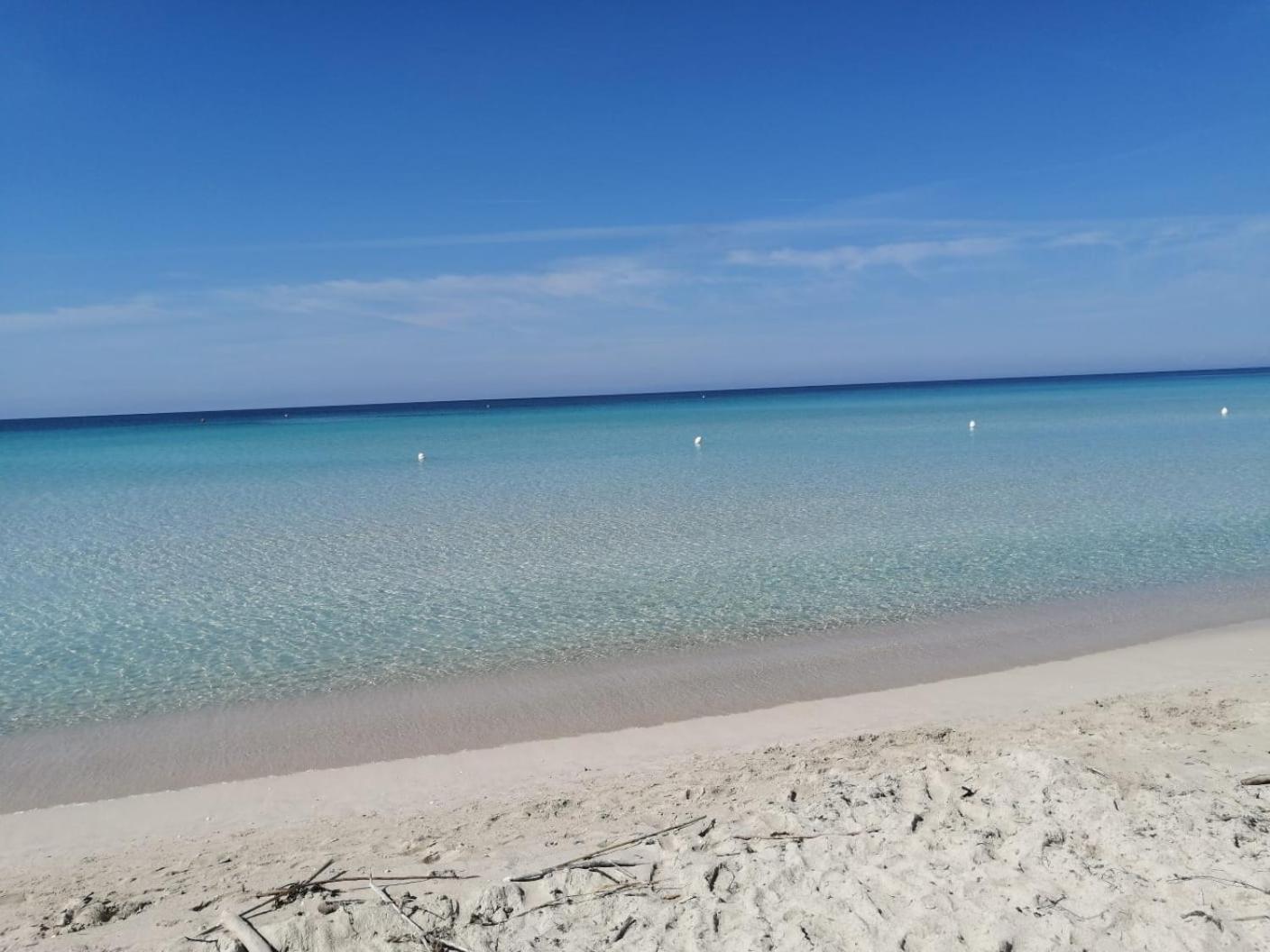 Bella Puglia Bed And Breakfast Ruvo di Puglia Bagian luar foto